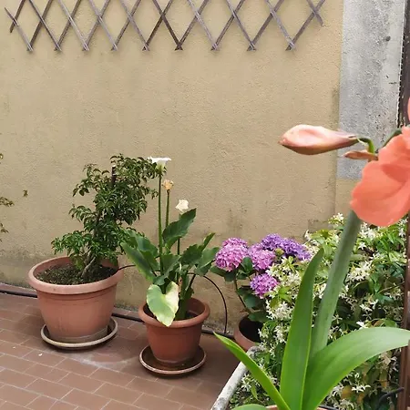 I La Casa Almar Διαμέρισμα Ραπάλο