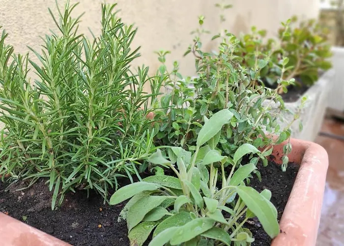 I La Casa Almar Appartement Rapallo